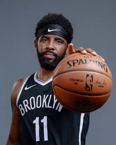 吸走中卫注 吸走中卫注